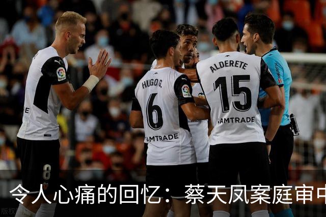 令人心痛的回忆：蔡天凤案庭审中的最后一条信息